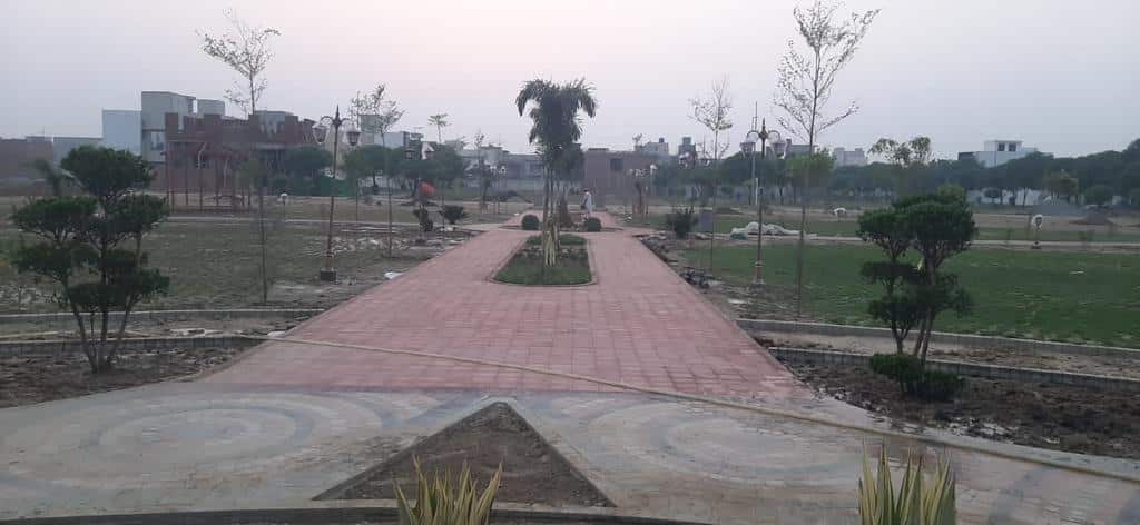 Development Project 4